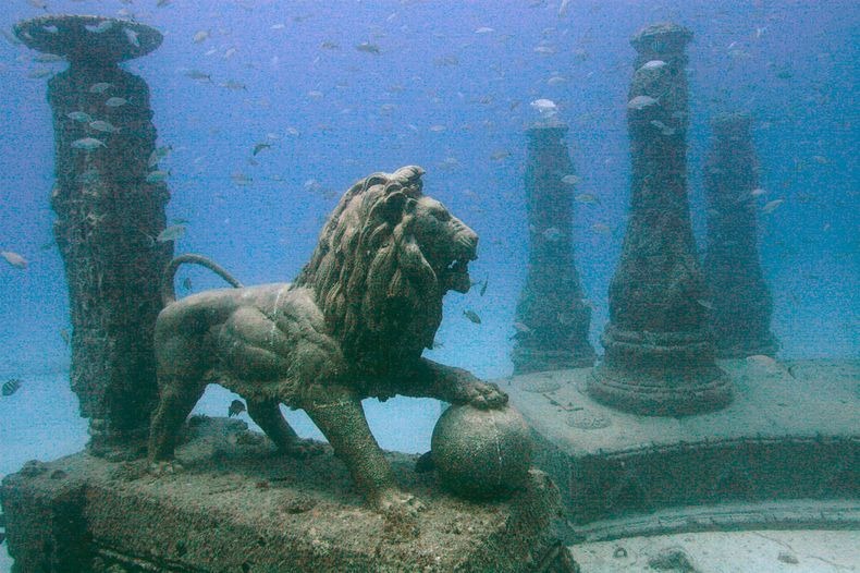 column feline feral fish lion looking_away male mammal marine plain_background real scenery sculpture sharp_teeth statue stone swimming teeth underwater water