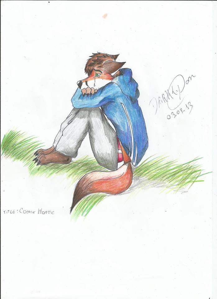 anthro arm_on_leg bent_legs blue_jacket brown_fur brown_hair canine colored_pencil_(art) crying darklycan dipstick_tail ears_back folded_arms fox full-length_portrait fur grass grey_pants hair hoodie male mammal orange_fur outside red_fur sad side_view sitting solo tears traditional_media