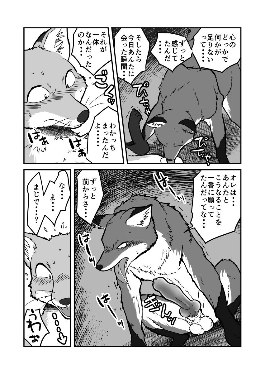 blush canine comic erection feral fox gay japanese_text knot licking male mammal mararin maririn open_mouth penis sweat text tongue translated translation_request whiskers