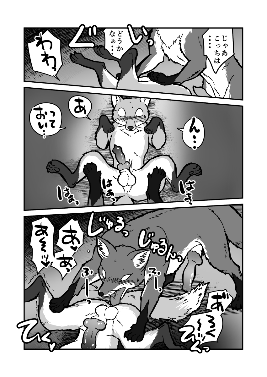 animal_genitalia balls blush canine canine_penis comic erection feral first_person_view fox gay greyscale japanese_text knot lying male mammal mararin maririn monochrome nude on_back oral penis precum rimming spread_legs spreading sweat text translated translation_request