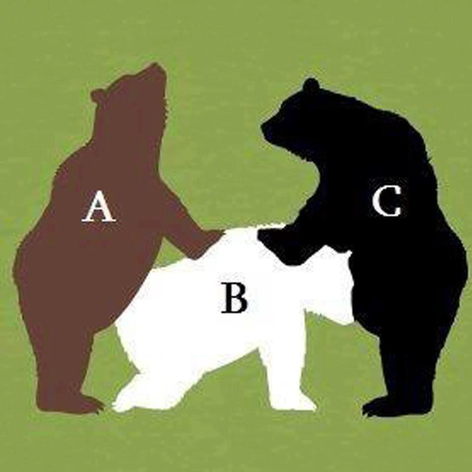 ambiguous_gender bear feral oral sex silhouette spitroast what