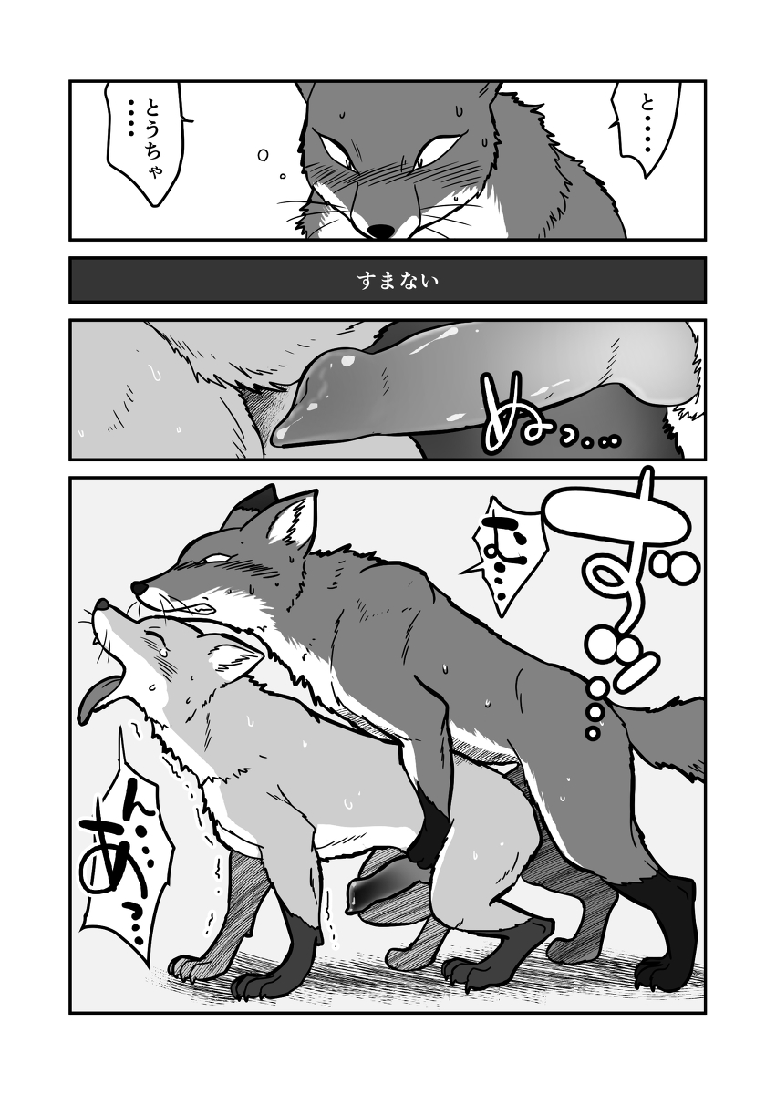 anal anal_penetration animal_genitalia blush canine canine_penis comic doggystyle erection eyes_closed feral feral_on_feral fox from_behind gay greyscale japanese_text knot male mammal mararin maririn monochrome nude penetration penis plain_background sex sweat text tongue tongue_out translated translation_request