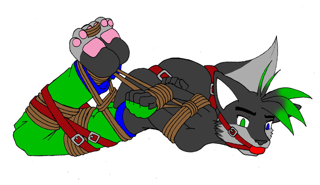 anthro ball_gag bdsm belt bondage bound canine clothing fluffy_tail fox gag heterochromia hogtied lord-kiyo pants plain_background shadz_the_fox_(character) tail_bondage toe_bondage topless