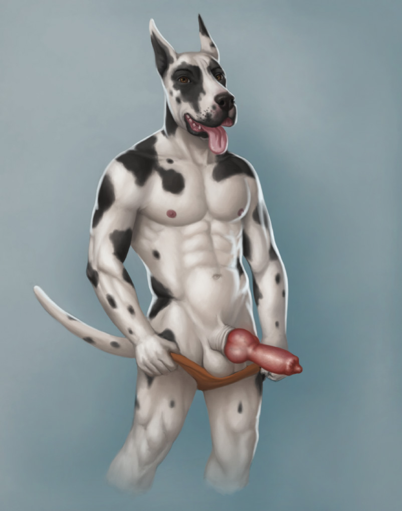 abs animal_genitalia anthro balls biceps canine canine_penis dog erection fur great_dane knot male mammal morticus muscles nipples nude pecs penis pose presenting sheath solo standing tongue tongue_out topless underwear undressing vein