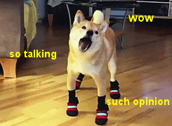 animated black_nose boots canine chewing dog doge english_text feral fur furniture low_res mammal meme open_mouth photo real shiba_inu shibe solo tan_fur text tongue