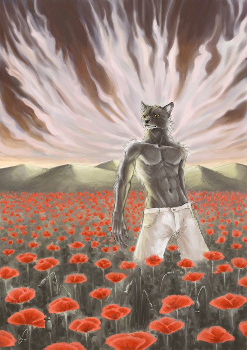 abs anthro biceps black_fur black_nose canine clothing field flower fur grey_fur imiak male mammal mountain muscles navel outside pants pecs poppy_(flower) pose rose solo standing topless wolf yellow_eyes