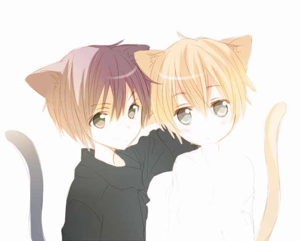 animal_ears black_eyes black_hair blonde_hair cat_ears eugeo green_eyes kirito male_focus multiple_boys sword_art_online tail tsukimori_usako