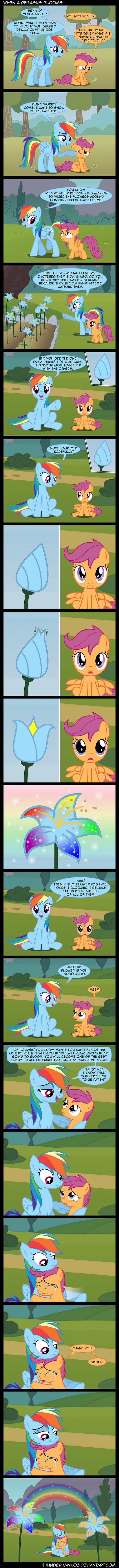 bigger_version_at_the_source bush comic cub cutie_mark dialog duo english_text equine female feral flower frame_by_frame friendship_is_magic grass hair horse hug mammal multi-colored_hair my_little_pony outside pegasus pony purple_eyes purple_hair rainbow rainbow_dash_(mlp) rainbow_hair scootaloo_(mlp) sparkles text thunderhawk03 tree upset wings young