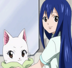 1girl :3 animated animated_gif blue_hair blush brown_eyes cat charle_(fairy_tail) cleaning_up exceed eyes_closed fairy_tail lowres smile towel wendy_marvell white_fur white_hair
