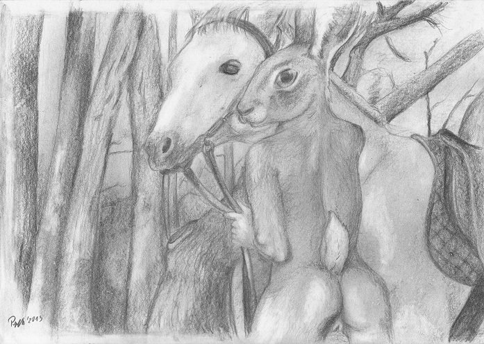 female feral foxia hare horse lagomorph male mammal nude