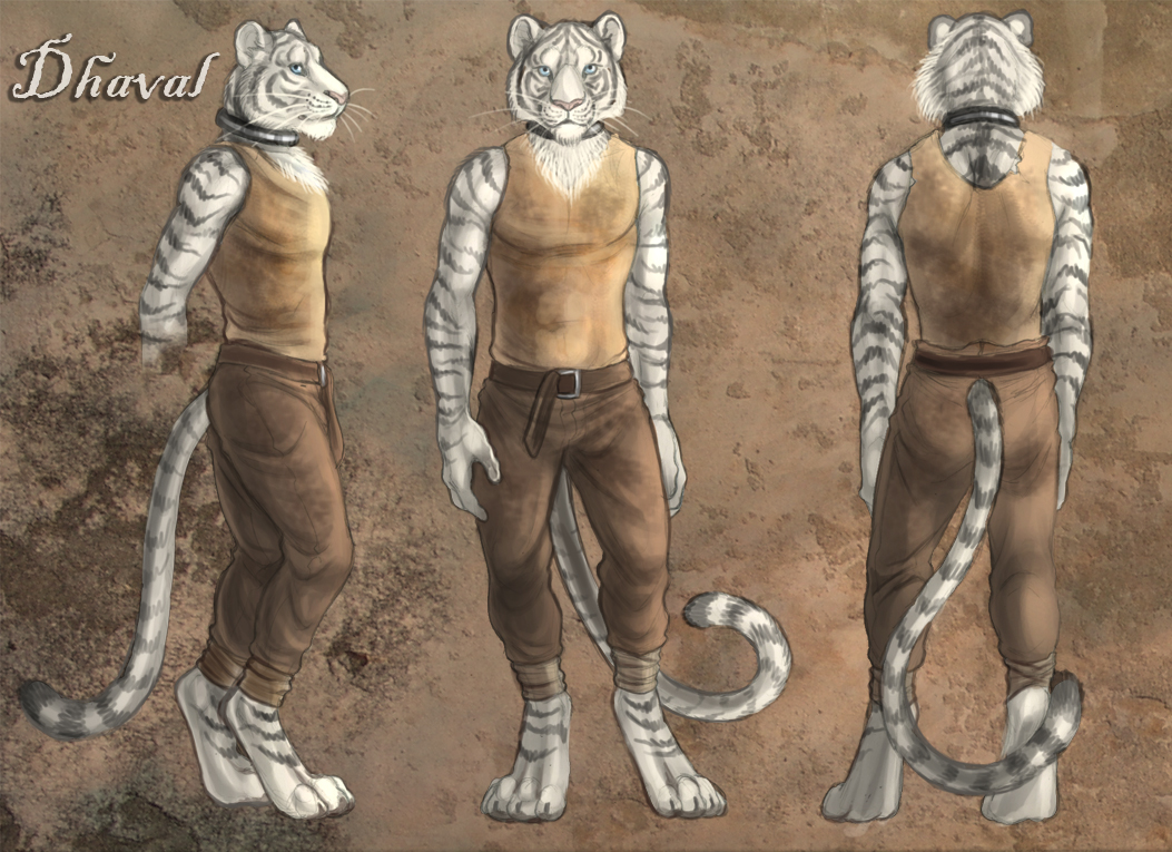 back_turned barefoot belt black_fur blue_eyes clothed clothing collar dhaval feline front fur looking_at_viewer male mammal model_sheet pants pink_nose rukis shirt side_view solo standing stripes tail_clothing tank_top tiger whiskers white_fur white_tiger