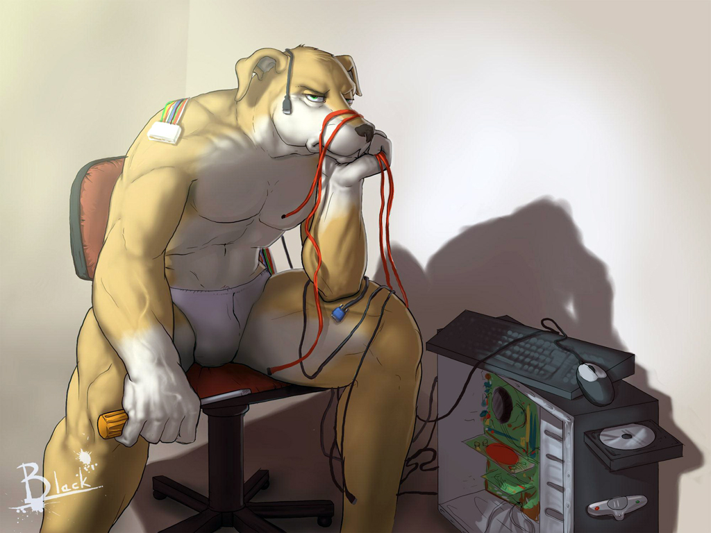 annoyed anthro biceps black_nose brown_fur bulge canine chair computer cord dog ethernet_cable flaccid frown fur green_eyes greyhound keyboard_(computer) kwikdog lion21 male mammal muscles office_chair pecs penis pose screwdriver screwdriver_(tool) sitting solo spread_legs spreading toned topless underwear unimpressed vein white_fur