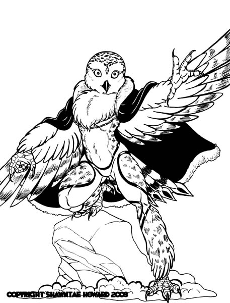 avian bird owl solo wings