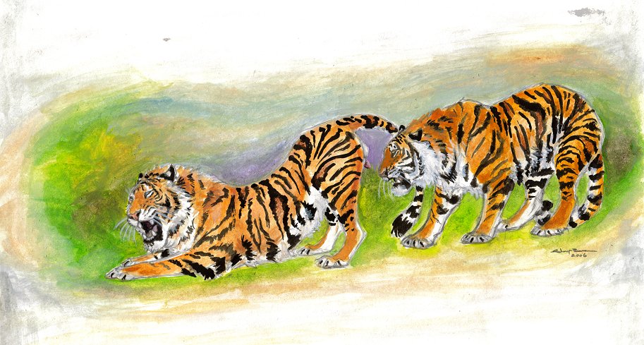 chalk ebonytigress feline gay male mammal penis presenting tiger