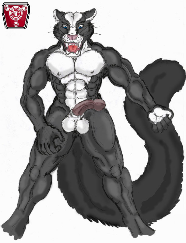 feline male noxx panther skunk solo theskunkcat