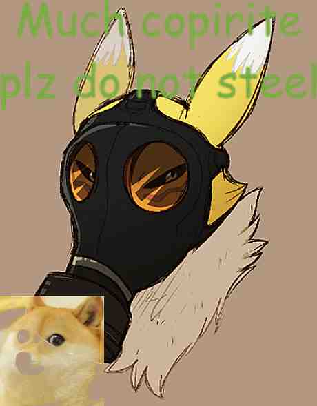 ambiguous_gender beige_background black_eyes black_nose canine digimon dog doge english_text female fox fur gas_mask headgear humor long_ears looking_at_viewer mask meme original_character renamon squint sunnimuffins text white_fur yellow_fur