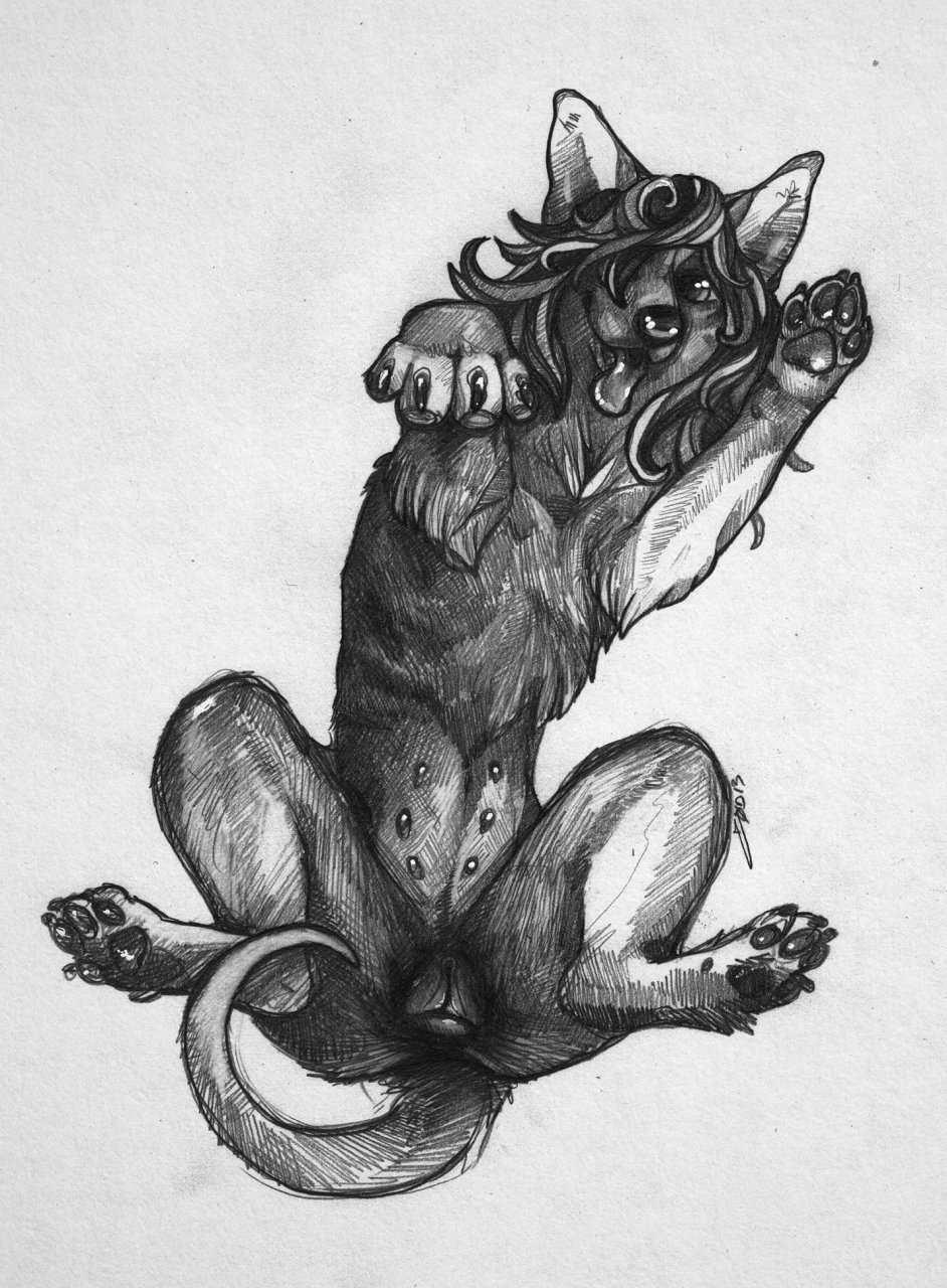 anatomically_correct anatomically_correct_pussy animal_genitalia canine canine_pussy dog female feral lying mammal multi_nipple nipples on_back psy101 pussy sketch solo spread_legs spreading teats