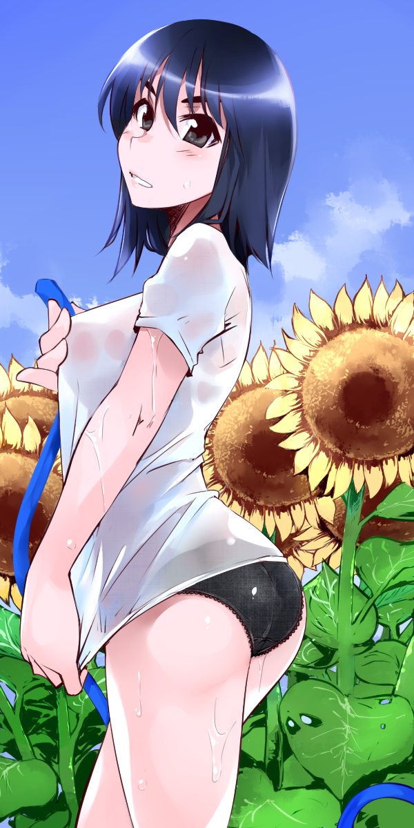 ass black_eyes black_panties blue_hair blue_sky blush breasts cosaten day flower from_behind highres hose leaf looking_at_viewer looking_back medium_breasts no_pants outdoors panties plant school_rumble see-through shirt sky smile sunflower suou_mikoto underwear water wet wet_clothes wet_shirt wet_t-shirt white_shirt