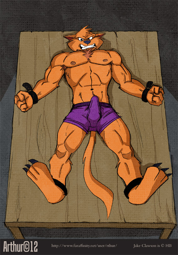 abs angry anthro armpit_hair biceps big_muscles bound boxers bulge cat chest_tuft claws clothing erection feline fur jake_clawson lying male mammal muscles nipples on_back orange_fur pecs penis rthur solo swat_kats table teeth tuft underwear