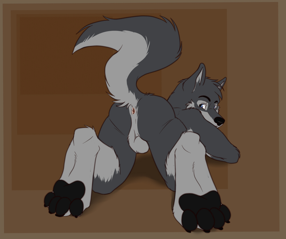 anthro anus backsack balls biceps black_nose butt canine easyspark fur grey_fur hindpaw looking_back male mammal nude pawpads paws plain_background presenting presenting_hindquarters raised_tail solo wolf