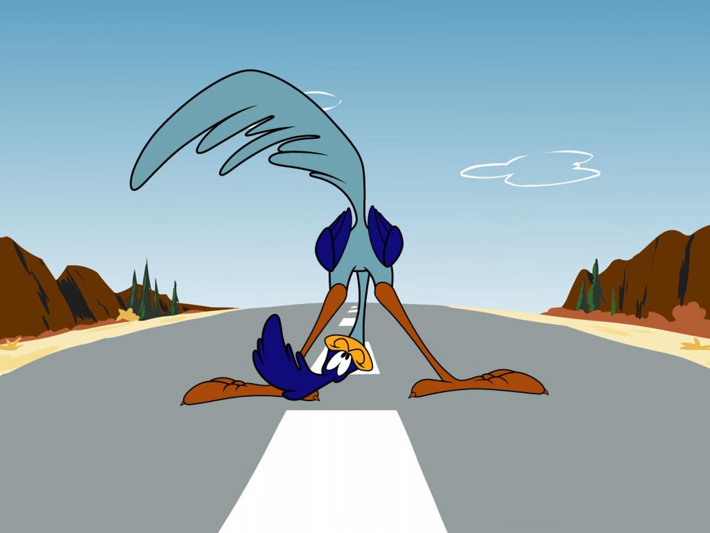 avian beak bird looking_at_viewer looney_tunes road roadrunner solo upside_down warner_brothers