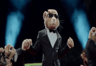 3d animated bow_tie cgi dancing eyewear hamster human male real rodent soul_hamsters suit sunglasses swag