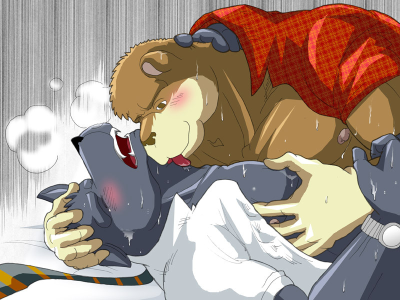 anthro bear bed biceps big_muscles black_nose blush brown_eyes brown_fur brown_nose canine clothing duo eyes_closed fangs fur gay grey_fur grizzly_bear grope interspecies licking lying male mammal muscles nipple_pinch nipples on_back open_mouth open_shirt pec_grasp pecs pose rovan sex shirt suggestive sweat teeth tongue tongue_out watch wolf