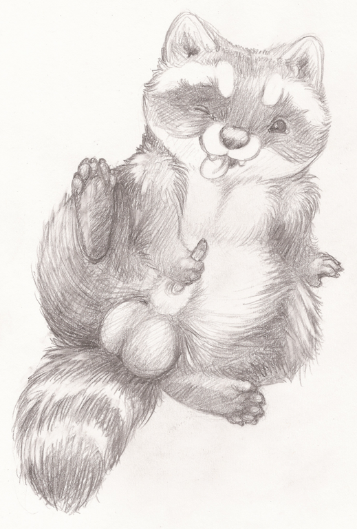 balls coonpoof lying male mammal masturbation on_back one_eye_closed penis raccoon sketch spread_legs spreading tongue tongue_out