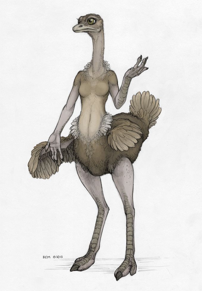 avian beak bird breasts ecmajor feathers female no_nipples nude ostrich solo wings
