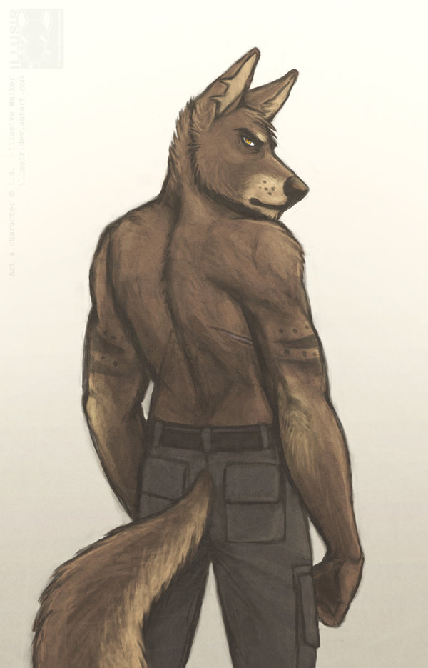 canine clothing illusir looking_at_viewer looking_back male mammal pants plain_background scar solo