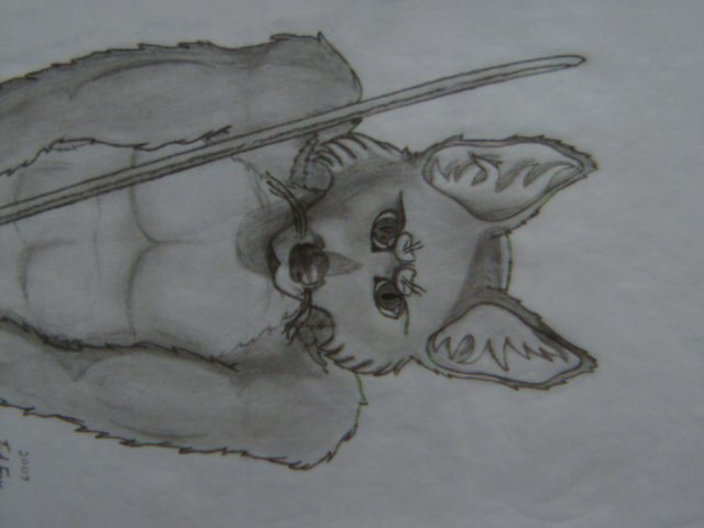 canine folf fox hybrid katana male mammal solo sword tod_blackpaw_fox weapon wolf