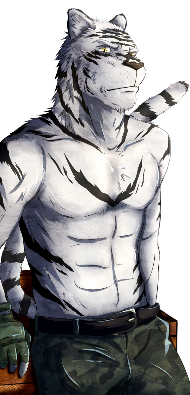 clothing cookykao feline gloves looking_at_viewer male mammal pants simple_background solo stripes tiger topless