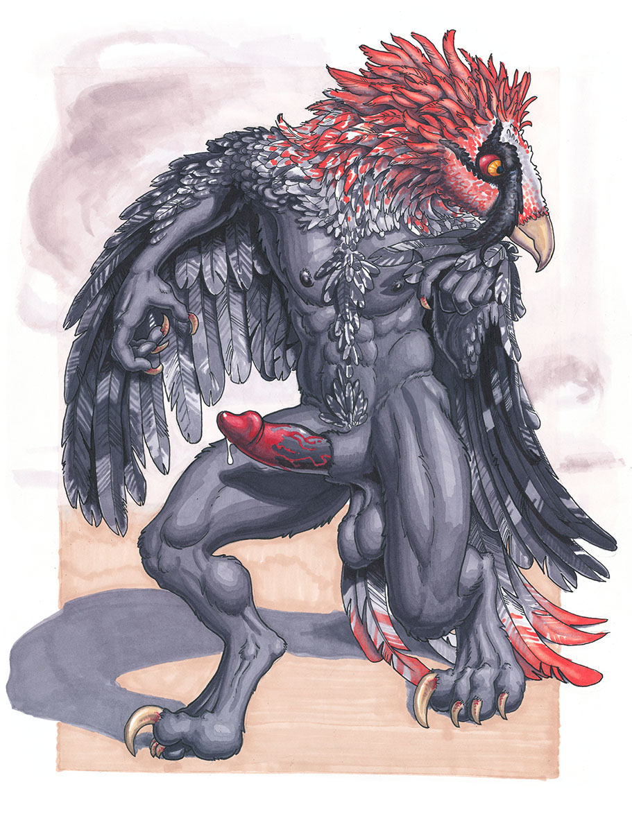 arjuna avian balls bearded_vulture claws erection long_feathers male muriat nipples penis precum sheath solo talons wings