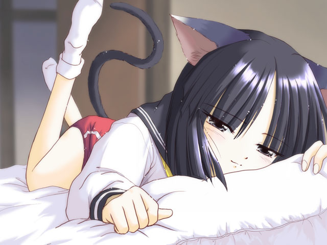 animal_ears black_eyes black_hair buruma cat_ears cat_tail kashiwagi_kaede kizuato lying on_stomach school_uniform serafuku short_hair socks solo tail takano_hayato