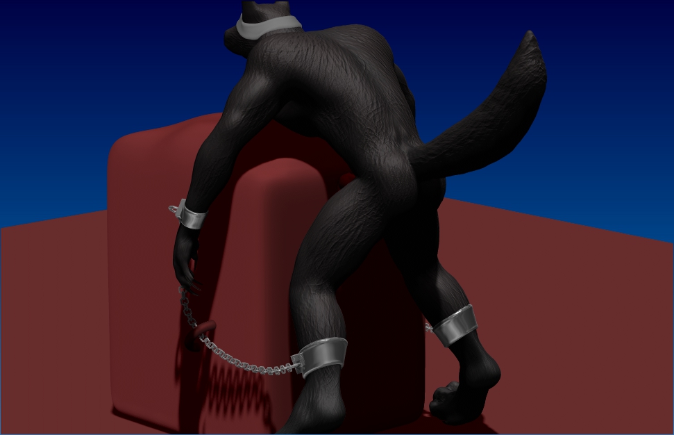 abs animal_genitalia back balls bdsm biceps black_fur blindfold bondage bound butt canine canine_penis cgi chain cuffs erection fur knot male mammal muscles nude pecs penis pose sheath solo standing wolf