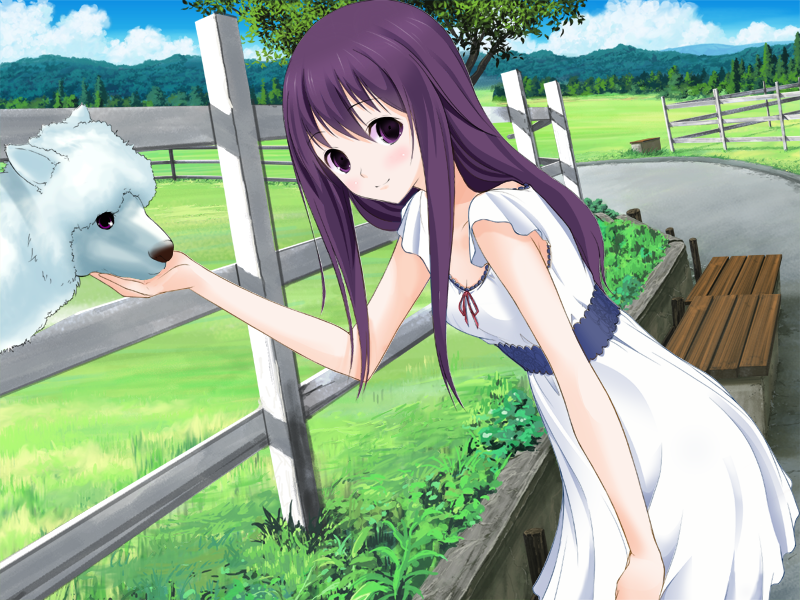 1girl alpaca artist_request brown_eyes character_request cloud dress fence game_cg grass long_hair looking_at_viewer paca_plus pacoproject purple_hair smile tree trees tsukasa_rin white_dress wind