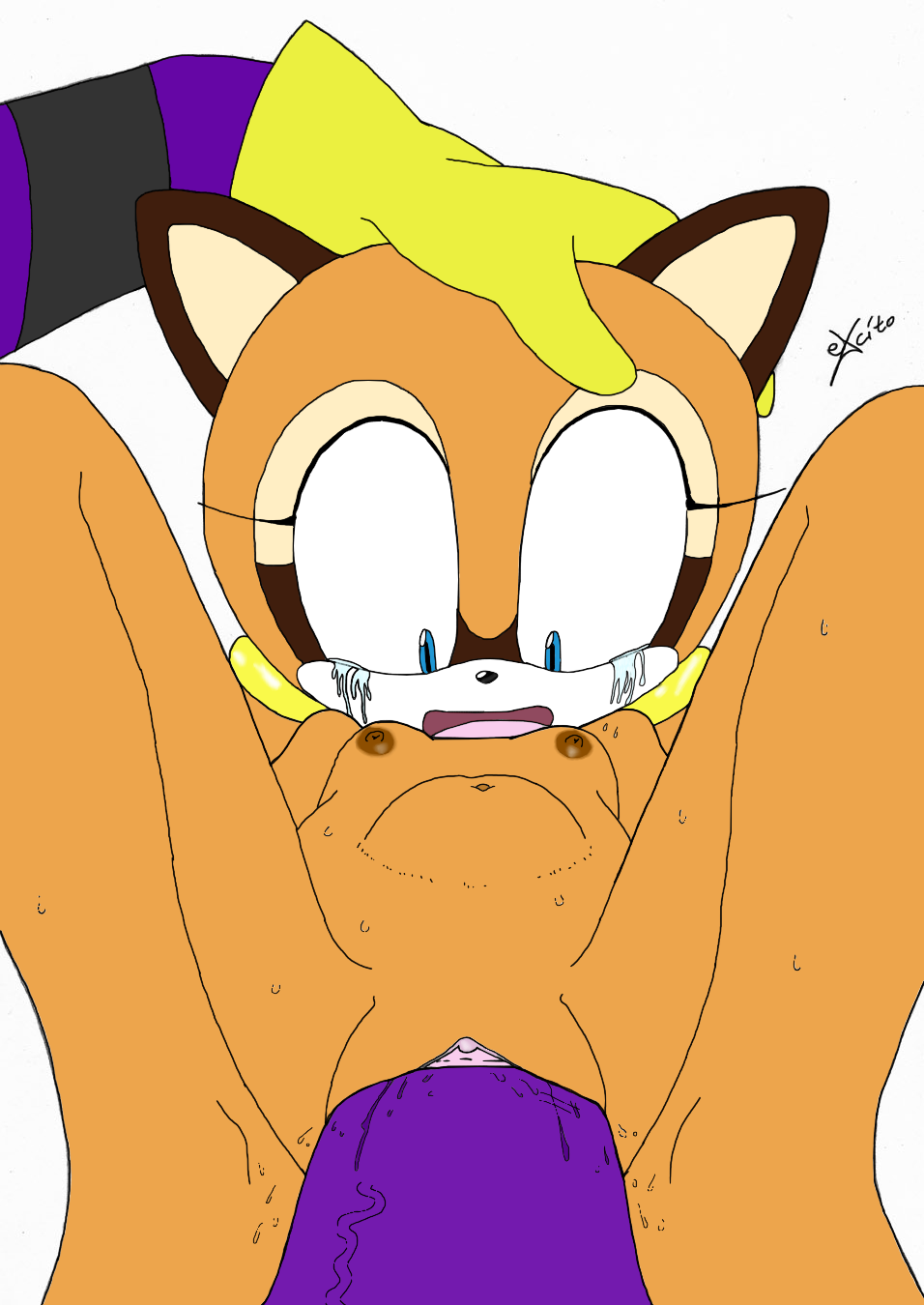 (colored_by_kiyoshifox) abdominal_bulge anthro big_the_cat breasts cub duo excito female first_person_view forced male mammal marine_the_raccoon nipples open_mouth penetration penis pussy raccoon rape sega sonic_(series) straight vaginal vaginal_penetration young