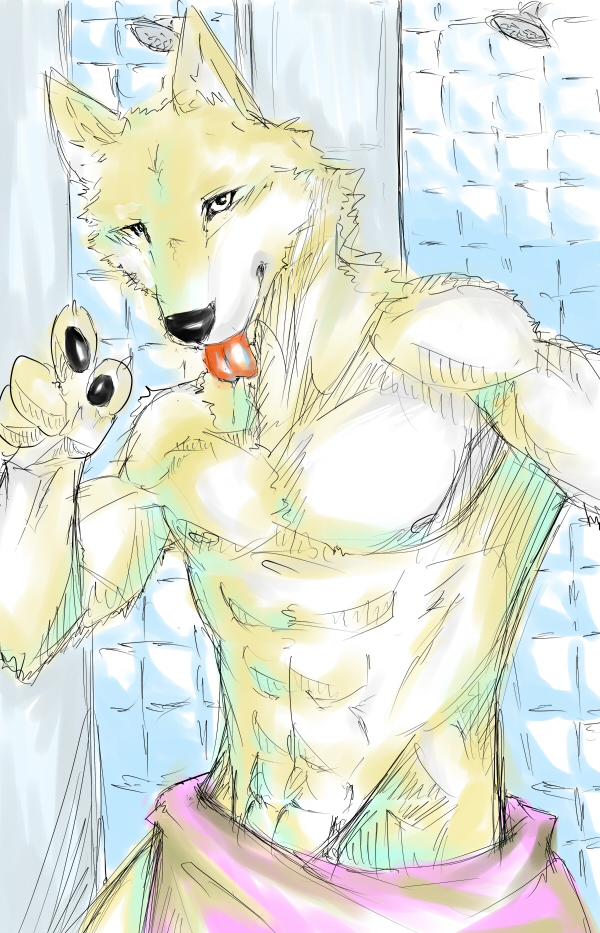 &#12525;&#12450; ?? anthro biceps black_nose black_pawpads canine chest_tuft claws fur grin kemono looking_at_viewer male mammal muscles nipples pawpads paws pecs pose selfie shower sketch slim smile solo standing tan_fur tongue tongue_out topless towel tuft wolf