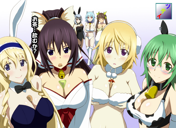 animal_ears animal_print bad_id bad_pixiv_id banned_artist bell between_breasts black_hair blonde_hair blue_eyes blue_hair blush boots bow bowtie breast_hold breasts brown_hair bunny_ears bunny_girl bunnysuit bust_cup cat_ears cecilia_alcott charlotte_dunois cleavage cookie cow_bell cow_ears cow_print detached_collar dog_ears drill_hair food food_on_body fox_ears glasses green_eyes green_hair hair_bow huang_lingyin infinite_stratos japanese_clothes large_breasts laura_bodewig leotard long_hair mouth_hold multiple_girls navel open_mouth pantyhose ponytail purple_eyes red_eyes sarashiki_tatenashi semi-rimless_eyewear shinonono_houki silver_hair smile tea translated tsuti twin_drills twintails under-rim_eyewear white_legwear yamada_maya_(infinite_stratos)