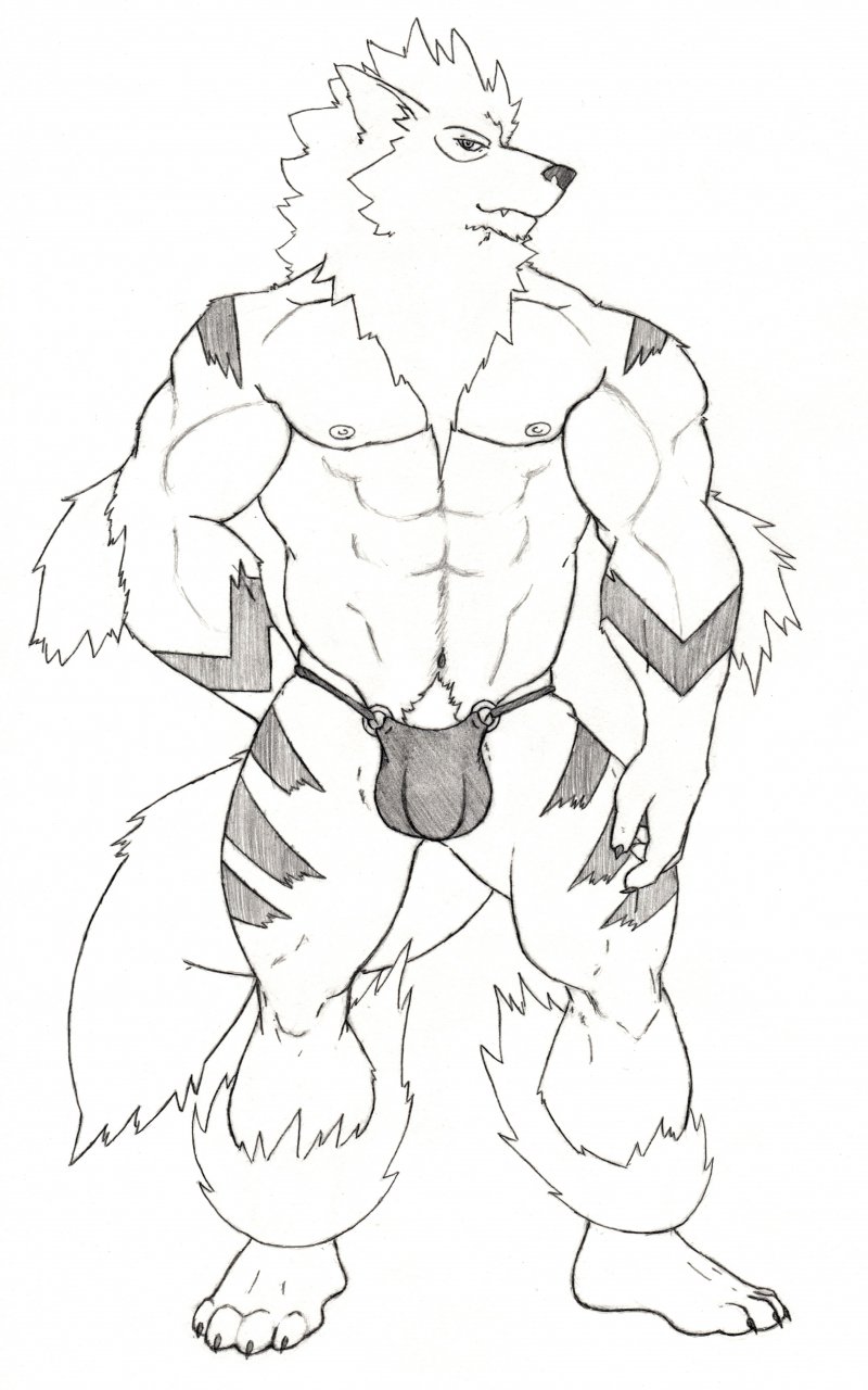 arcanine bulge canine haseodragon looking_at_viewer male mammal nintendo pok&#233;mon pok&eacute;mon pose solo video_games