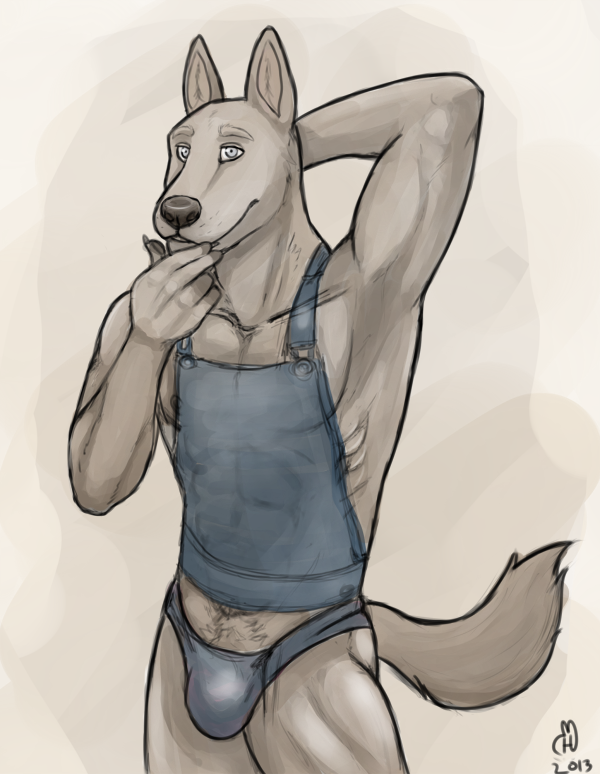 abs anthro biceps blue_eyes bulge canine cinnamonhuskie dog male mammal muscles nipples pecs pose pubes solo standing thong