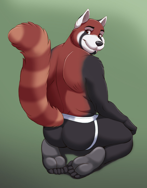 anthro back back_turned barefoot biceps big_butt black_fur black_nose brown_eyes butt chubby fur furrybob hindpaw human_feet jockstrap kneeling looking_at_viewer looking_back male mammal muscles paws plantigrade red_fur red_panda ringed_tail smile soles solo toes topless underwear