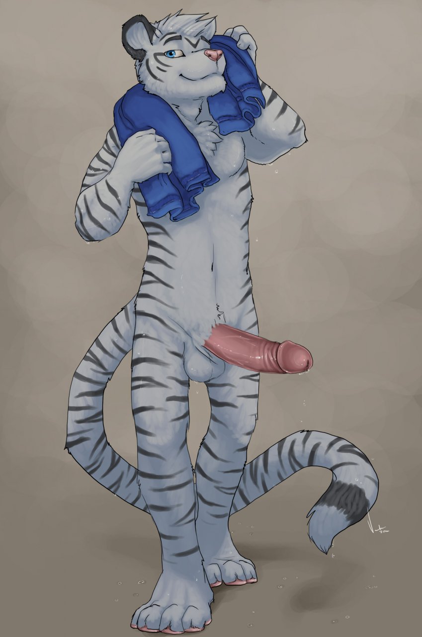 anthro aolun_(character) balls big_penis black_fur blue_eyes body_markings chest_tuft erection feline fur grey_fur grin hair humanoid_penis leaking looking_at_viewer male mammal markings muscles nude pawpads paws penis pink_nose plain_background pose precum presenting sheath smile solo standing stripes tiger towel tuft vein voondahbayosh white_fur white_hair white_tiger