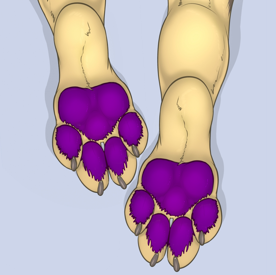 3dinoz 4_toes canine claws close-up dog foot_fetish foot_focus fur grey_background hetzer hindpaw lying mammal on_front pawpads paws plain_background purple_pawpads xkinato_(editor)