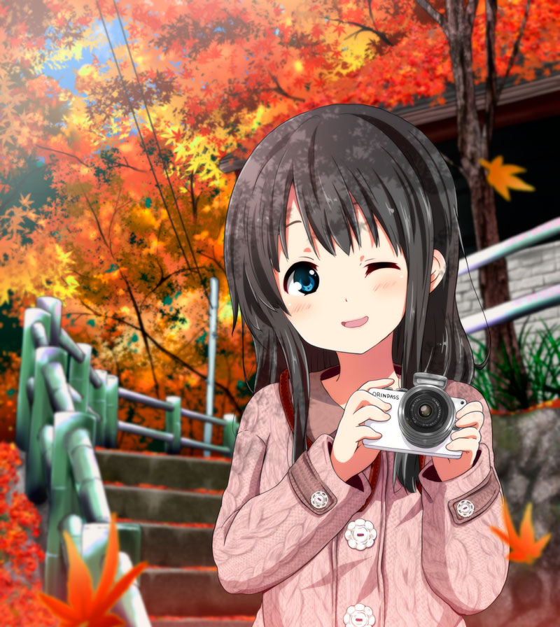 autumn bad_id bad_pixiv_id bamboo black_hair blue_eyes blush camera leaf long_hair looking_at_viewer maple_leaf one_eye_closed open_mouth original ragho_no_erika railing smile solo stairs tree tree_shade upper_body