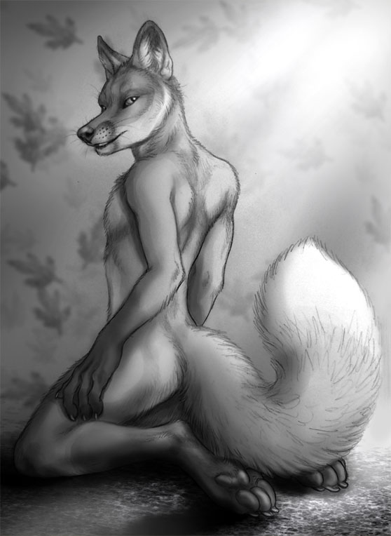 canine claws digitigrade fox greyscale hindpaw kneeling looking_back male mammal monochrome nude pawpads paws rukis sketch solo