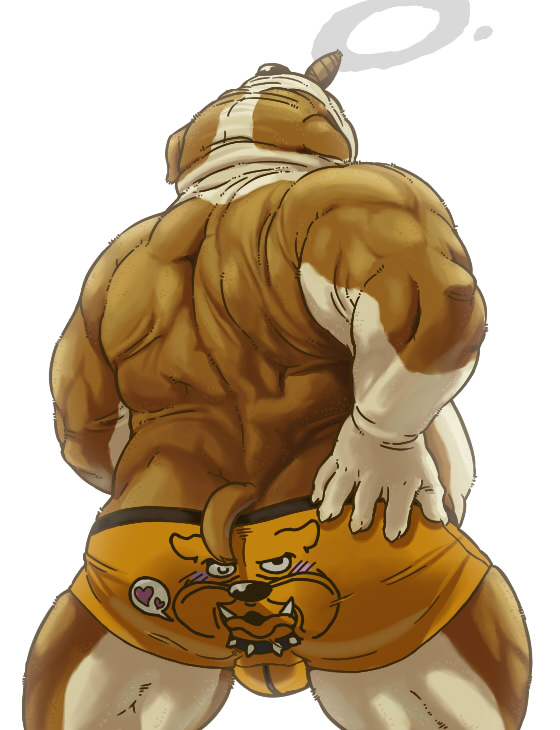 back back_turned belly biceps big_muscles black_nose brown_fur bulge bulldog butt canine chubby cigar claws dog fur male mammal musclegut muscles pose smoking solo standing tetsuo_oshiba topless underwear white_fur