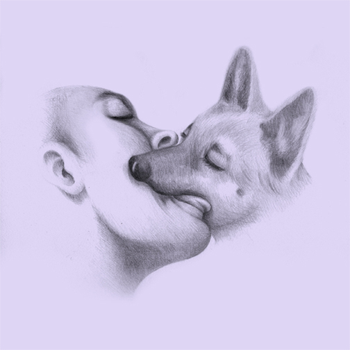 canine dog feral human interspecies kissing mammal saiman_chow