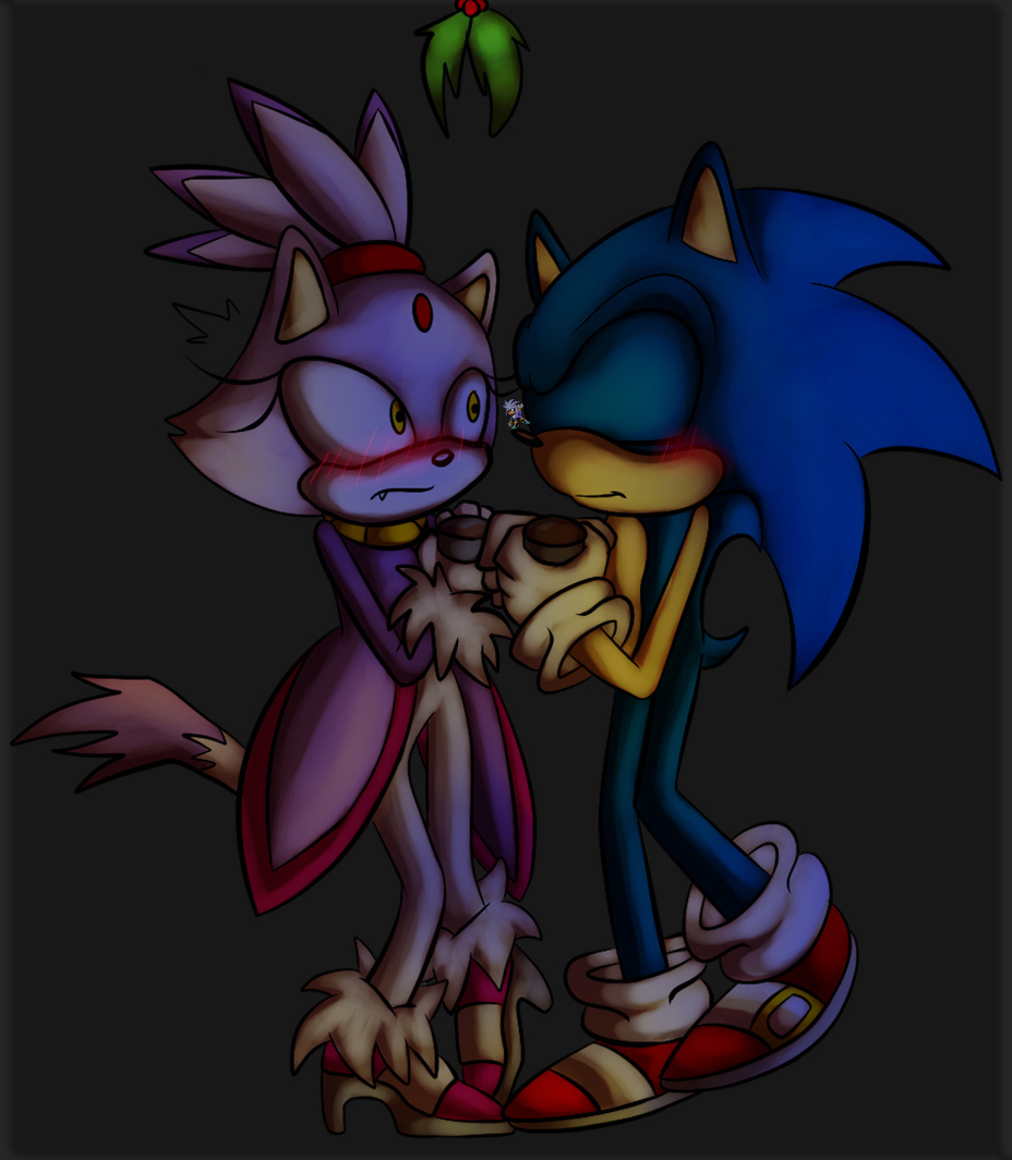 2013 anthro blaze_the_cat blue_hair blush cat eyes_closed feline female fur hair hedgehog male purple_fur sega silver_the_hedgehog small sonic_(series) sonic_the_hedgehog straight