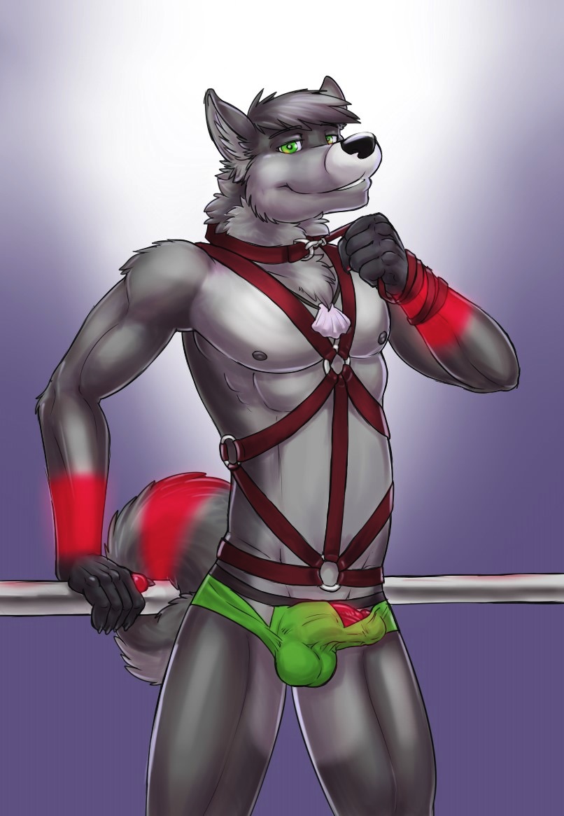 bulge canine dog erection flit green_eyes harness husky leash leather looking_at_viewer male mammal necklace nipples penis simple_background solo underwear